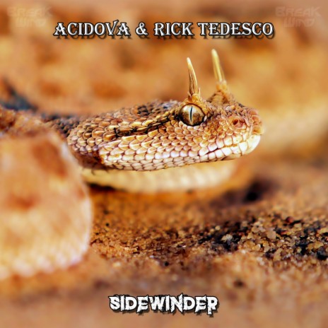 Sidewinder (Original Mix) ft. Rick Tedesco | Boomplay Music