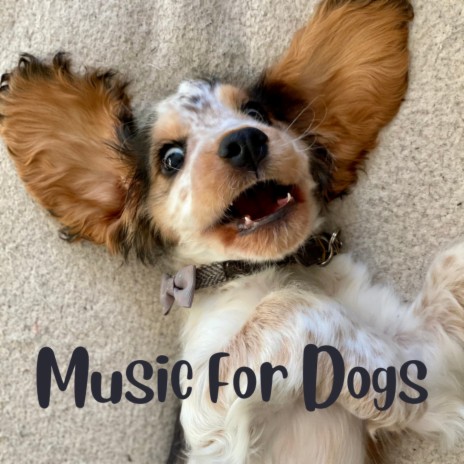 Laid Back Sleep ft. Music For Dogs Peace, Relaxing Puppy Music & Calm Pets Music Academy