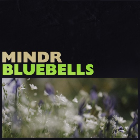 Bluebells | Boomplay Music