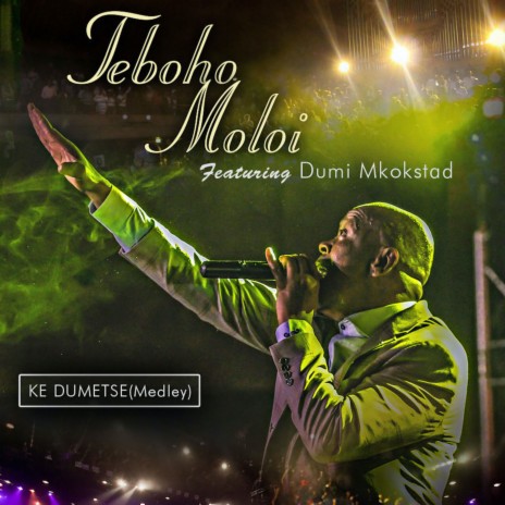 Ke Dumetse (Medley) ft. Dumi Mkokstad | Boomplay Music