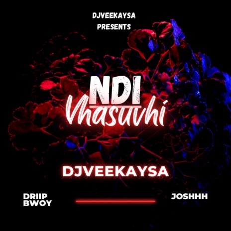 Vhasuvhi ft. Joshhh De Alpha & Driip Bwoy | Boomplay Music