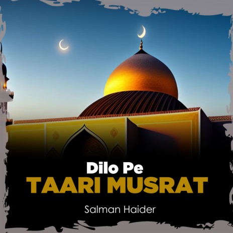 Dilo Pe Taari Musrat | Boomplay Music