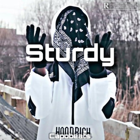 Sturdy | Boomplay Music