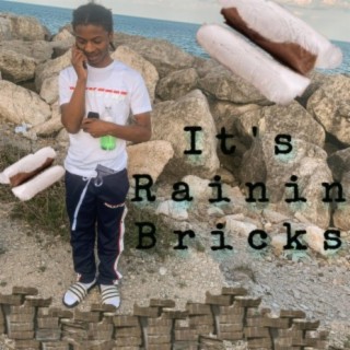 Its Rainin' Bricks