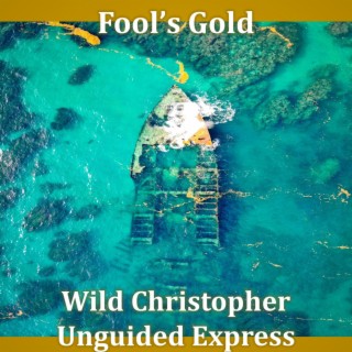 Fool's Gold ft. Unguided Express lyrics | Boomplay Music