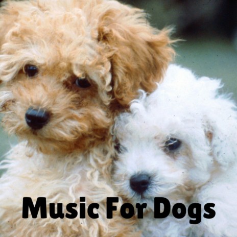 Exhausted Puppy ft. Calm Pets Music Academy, Music For Dogs Peace & Music For Dogs | Boomplay Music