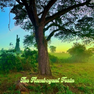 Treeman lyrics | Boomplay Music