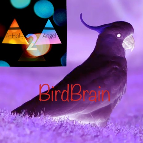 BirdBrain | Boomplay Music