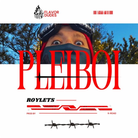 Pleiboi | Boomplay Music