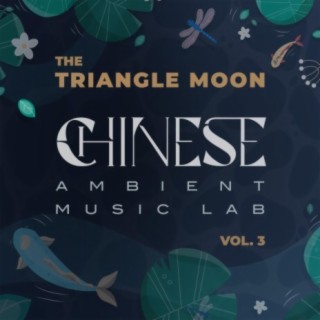 Chinese Ambient Music Lab, Vol. 3