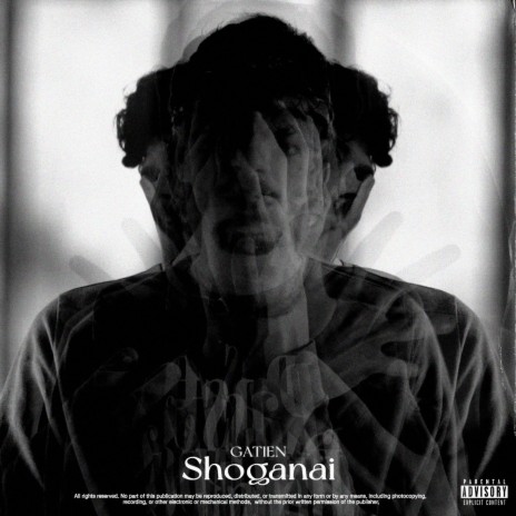 Shoganai | Boomplay Music