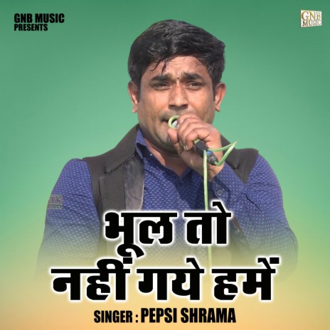 Bhul To Nahin Gaye Hamen | Boomplay Music