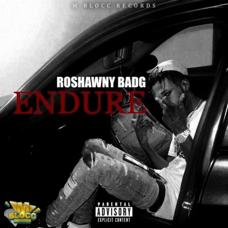 Endure | Boomplay Music