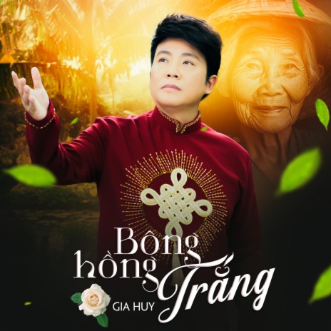 Bông Hồng Trắng | Boomplay Music