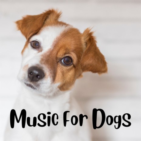 Puppy Eyes ft. Calm Pets Music Academy, Music For Dogs Peace & Music For Dogs | Boomplay Music