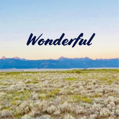 Wonderful | Boomplay Music