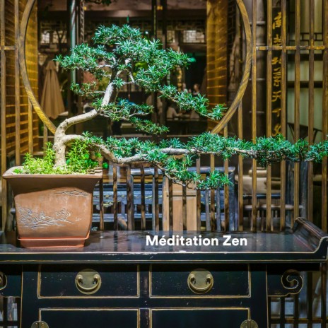 In the Air ft. Zen méditation tibétaine & Medicina Relaxante | Boomplay Music