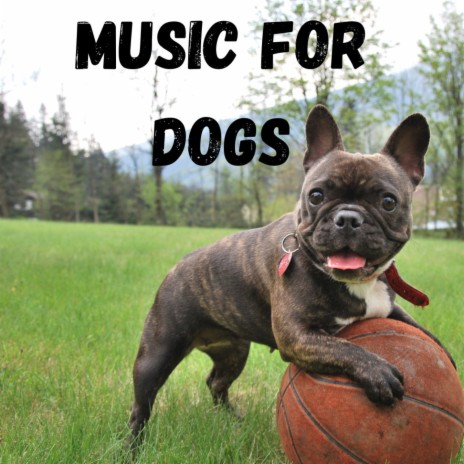 Soothing Zen Music For Dogs ft. Music For Dogs Peace, Relaxing Puppy Music & Calm Pets Music Academy | Boomplay Music