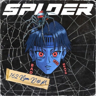 Spider