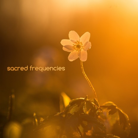 Raining ft. Sacred Solfeggio Frequencies & Deep Sleep Meditation | Boomplay Music