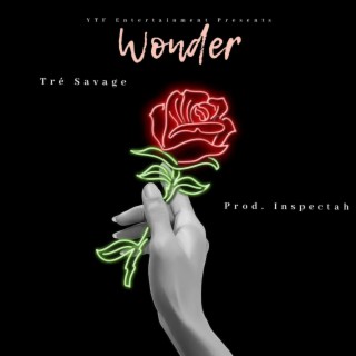 Wonder (Think About You)