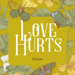 Love Hurts lyrics | Boomplay Music