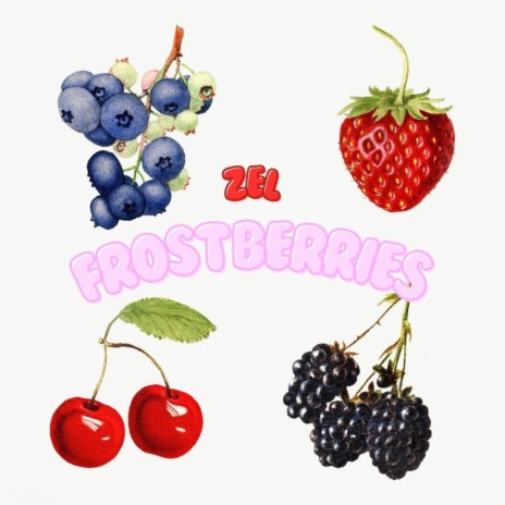 FROST BERRIES | Boomplay Music