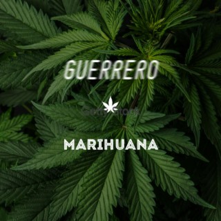 Mariajuana