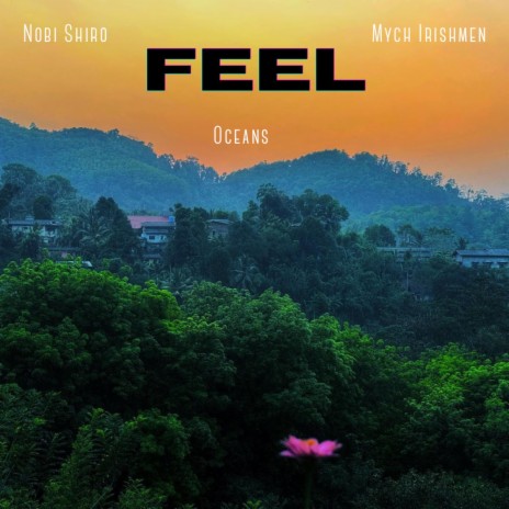 Feel ft. Nobi Shiro & Mych Irishmen | Boomplay Music