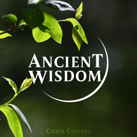 Ancient Wisdom | Boomplay Music