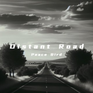 Distant Road_Peace Bird