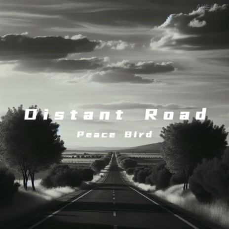 Distant Road