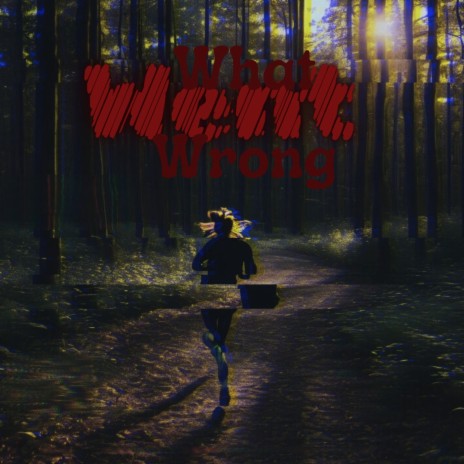 What Went Wrong ft. FERRIS JACK | Boomplay Music