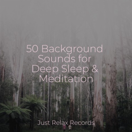 Soulful Lullaby Under Stars ft. Meditation Relaxation Club & Rest & Relax Nature Sounds Artists | Boomplay Music