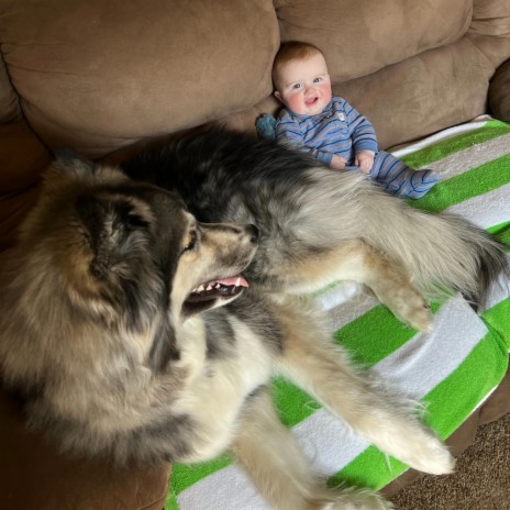 I Am A Little Baby, Don't Let The Big Dog Bite Me