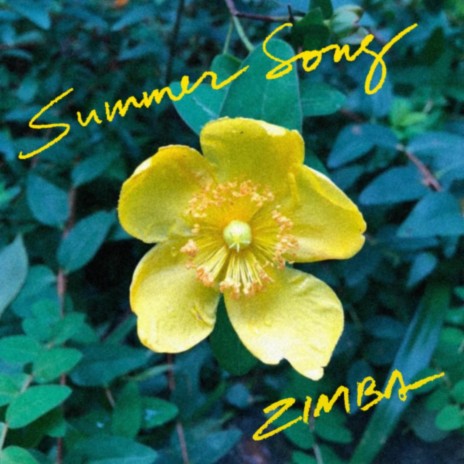 Summer Song (Instrumental) | Boomplay Music