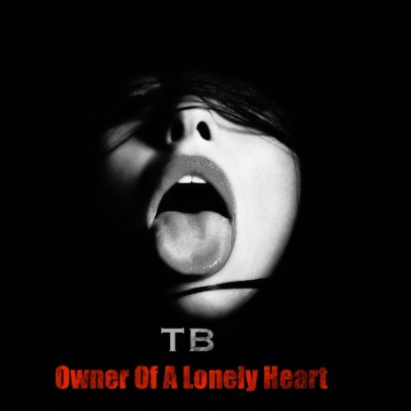 Owner Of A Lonely Heart | Boomplay Music