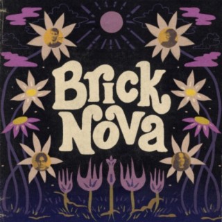 Brick Nova