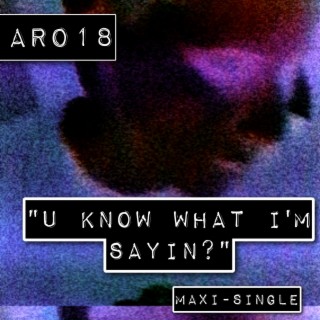 U Know What I'm Sayin? (Maxi-Single)
