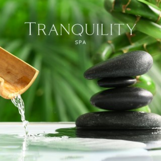 Tranquility Spa: Ultimate Relaxing Piano Music for Wellness with Gentle River Sounds and Birds