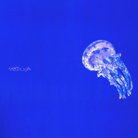 medusa | Boomplay Music