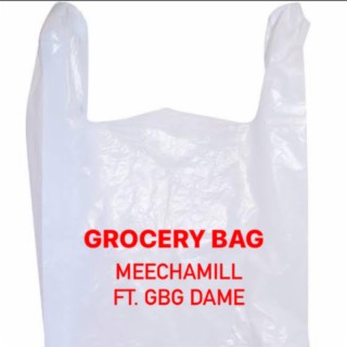 Grocery Bag