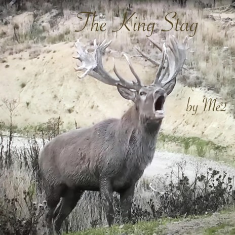 The King Stag
