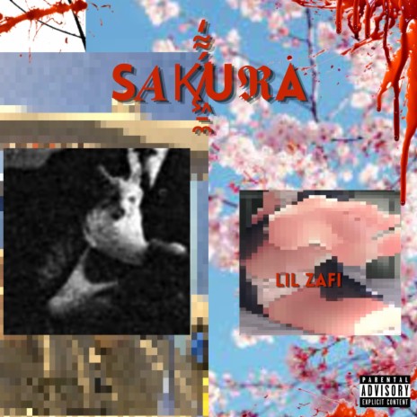 Sakura