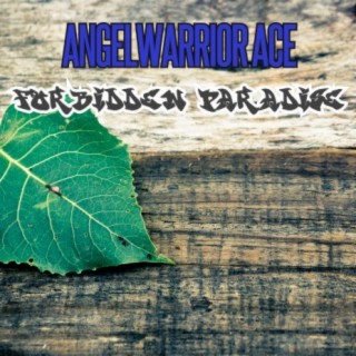 Angelwarrior Ace