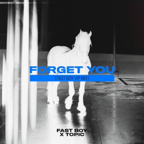 Forget You (FAST BOY VIP Mix) ft. Topic | Boomplay Music