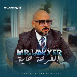 Mr Lawyer