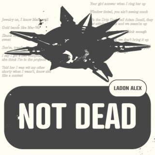 Not Dead lyrics | Boomplay Music