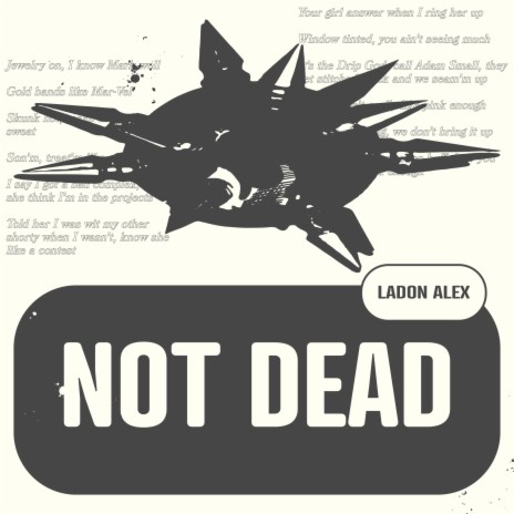 Not Dead | Boomplay Music