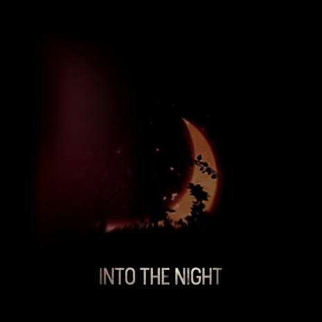 Into the Night ft. The Moonblooded | Boomplay Music